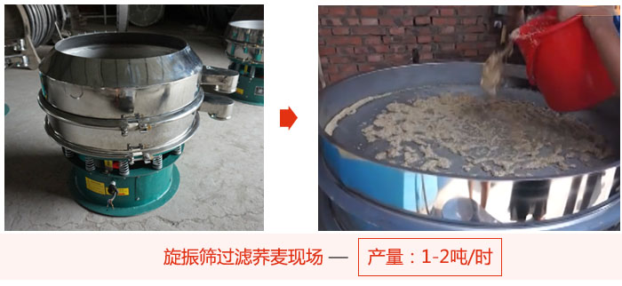 旋振篩過濾蕎麥現場,產量可達2噸每小時。