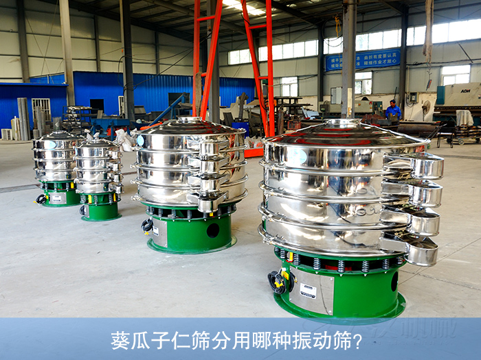 葵瓜子仁振動(dòng)篩